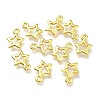 Alloy Charms PALLOY-P219-01G-1