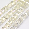 Pearl Luster Plated Crystal Glass Beads Strands EGLA-F016-B05-2