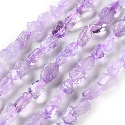 Natural Amethyst(Dyed & Heated) Beads Strands G-P497-01C-47-1