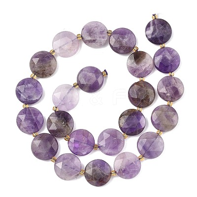Natural Amethyst Beads Strands G-A292-A08-01-1