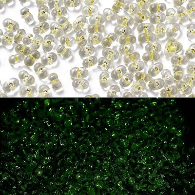 Luminous Glass Seed Beads SEED-A033-07K-1