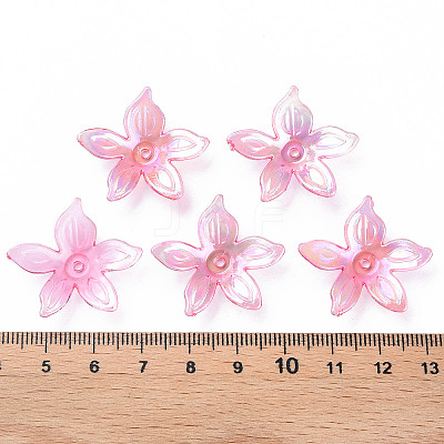 Transparent Acrylic Beads MACR-S373-102-C-1