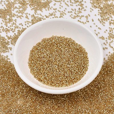 MIYUKI Delica Beads SEED-X0054-DB2521-1