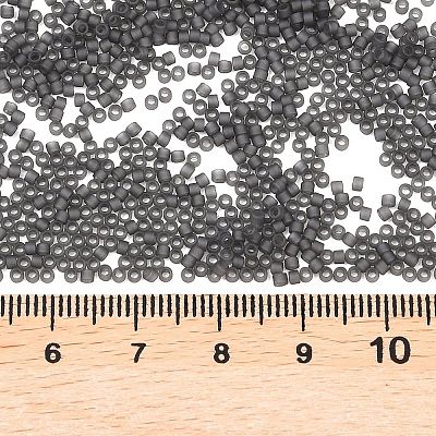 MIYUKI Delica Beads X-SEED-J020-DB2406-1