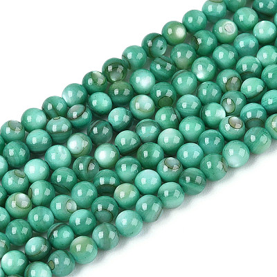 Natural Freshwater Shell Beads Strands X-BSHE-T009A-01J-1