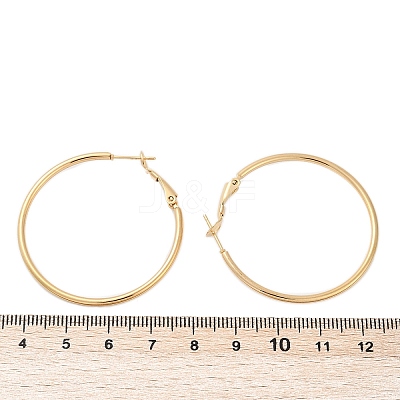 201 Stainless Steel Hoop Earrings EJEW-F188-24G-B-1