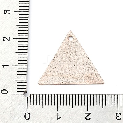 Geometric Alloy Sheet Printed Pendant Earrings Accessories LS-PALLOY-E139-01G-07-1