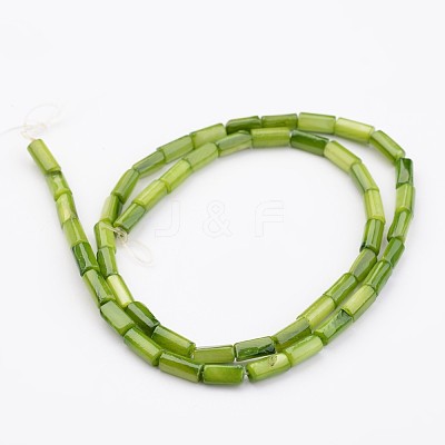 Natural Shell Bead Strands BSHE-P016-16-1