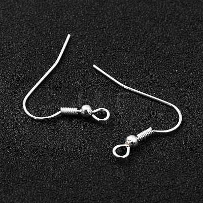 304 Stainless Steel Earring Hooks X-STAS-L258-001B-S-1