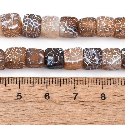 Natural Weathered Agate Beads Strands G-NH0038-01C-1