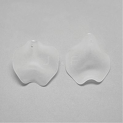 Transparent Acrylic Pendants FACR-S031-15.5mm-SB518-1