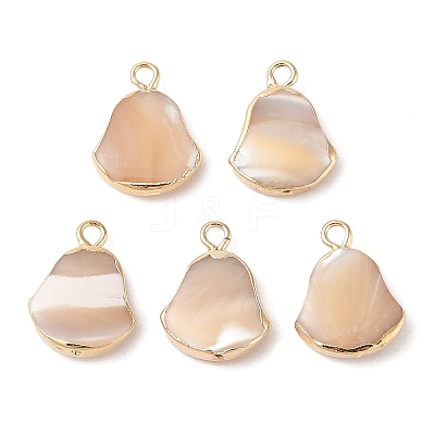 Natural Trochous Shell Pendants SHEL-P017-11G-1