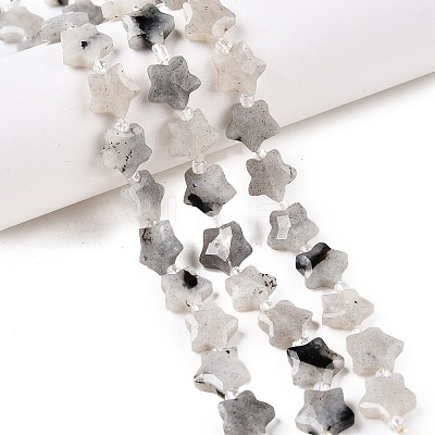 Natural Grey Labradorite Beads Strands G-T138-184-1