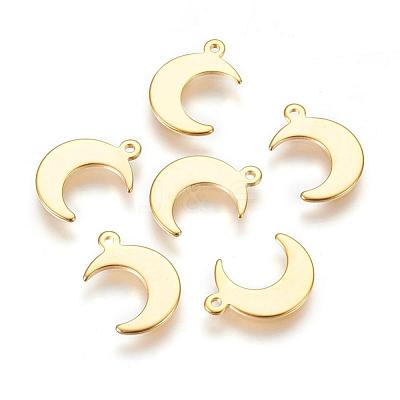 304 Stainless Steel Charms STAS-H557-31G-1