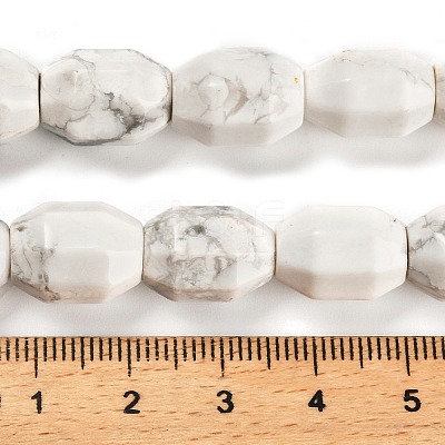 Natural Howlite Beads Strands G-F781-A03-01-1