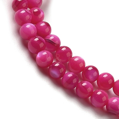 Natural Freshwater Shell Beads Strands SHEL-H003-03F-1