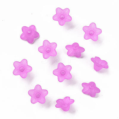 Transparent Acrylic Beads LS-X-PL554-17-1