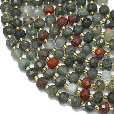 Natural African Bloodstone Beads Strands G-K389-E80-01-1