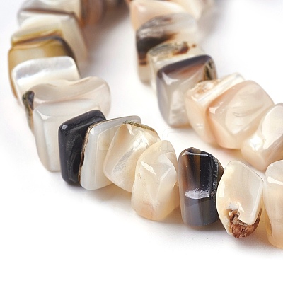 Freshwater Shell Beads Strands X-BSHE-O017-09-1