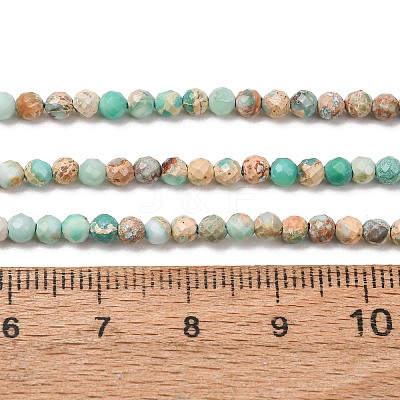 Natural Imperial Jasper Beads Strands G-L578-A13-1