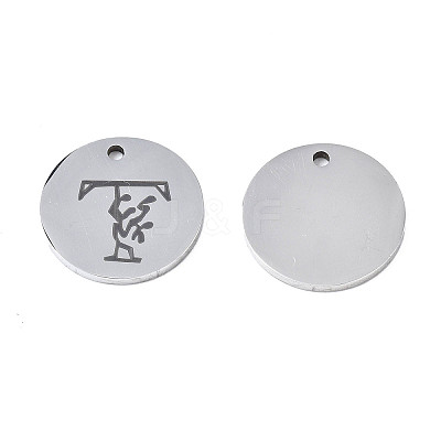 Non-Tarnish 304 Stainless Steel Charms LS-STAS-T059-26P-T-1