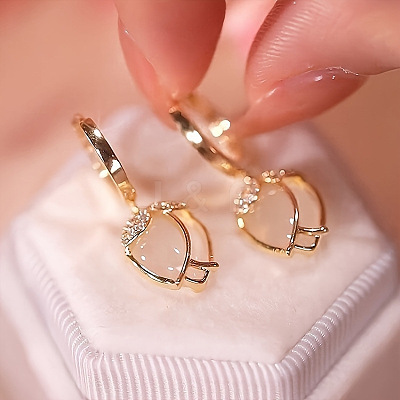 Alloy Clear Cubic Zirconia Dangle Earrings FS-WGAEA82-01-1