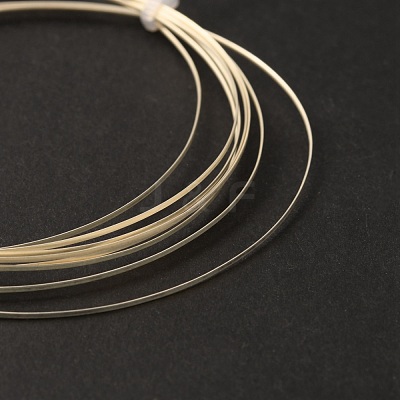 Sterling Silver Wire STER-WH0009-02A-1