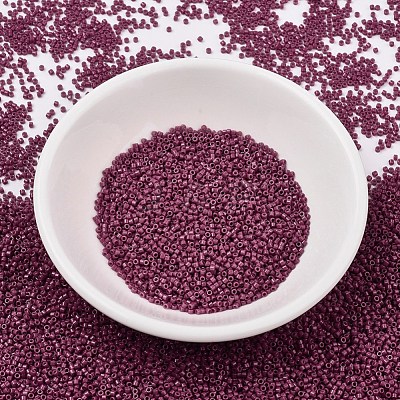 MIYUKI Delica Beads SEED-J020-DB2355-1
