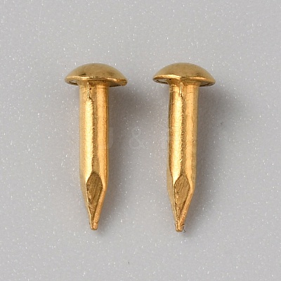 100Pcs Round End Brass Furniture Nail Tacks KK-WH0056-74-1