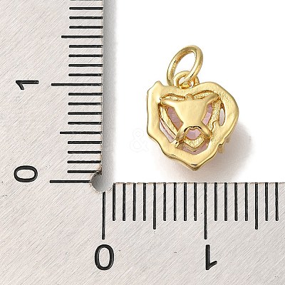 Rack Plating Brass Micro Pave Cubic Zirconia Charms KK-I720-08G-1