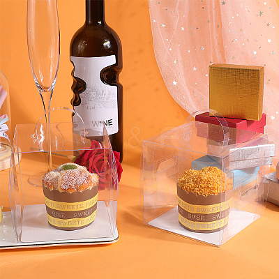 Clear Plastic Tall Cake Boxes CON-WH0001-22B-1