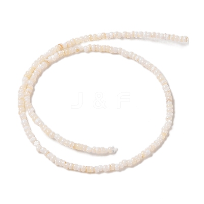 Natural Freshwater Shell Beads Strands X-SHEL-P017-01B-02-1