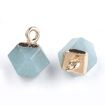 Electroplate Natural Amazonite Charms X-G-S344-08F-1