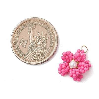 Glass Seed Beaded Pendants PALLOY-MZ01246-01-1