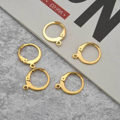 304 Stainless Steel Leverback Earring Findings STAS-P210-30G-1