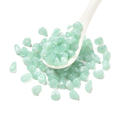 Transparent Acrylic Beads OACR-A021-12G-1