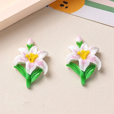 Opaque Resin Cabochons PW-WG0F442-02-1