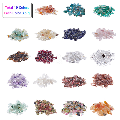 19Pcs Various Gemstone No Hole Chips in Bottles G-PH0034-50-1