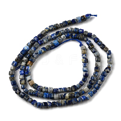 Natural Lapis Lazuli Beads Strands LS-G-C052-05A-1