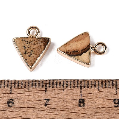 Natural Picture Jasper Pendants G-Q606-103G-04-1