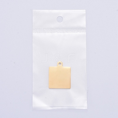 304 Stainless Steel Pendants LS-STAS-I140-23B-G-1