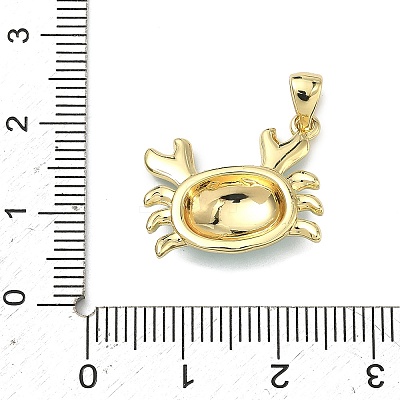 Brass Enamel Pendants KK-G555-20G-01-1