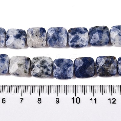 Natural Blue Spot Jasper Beads Strands G-T138-172-1