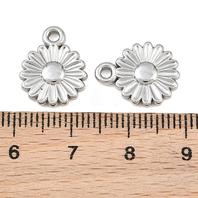 304 Stainless Steel Charms SA-CBA1839-13P-1