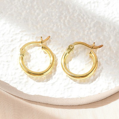 925 Sterling Silver Hoop Earrings STER-P047-13A-G-1