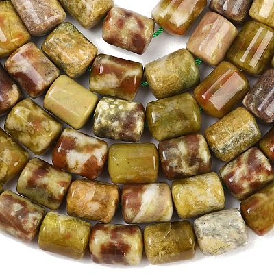 Natural Dragon Blood Jasper Beads Strands G-S396-03C-1