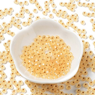 6/0 Glass Seed Beads SEED-Z001-B-E21-1
