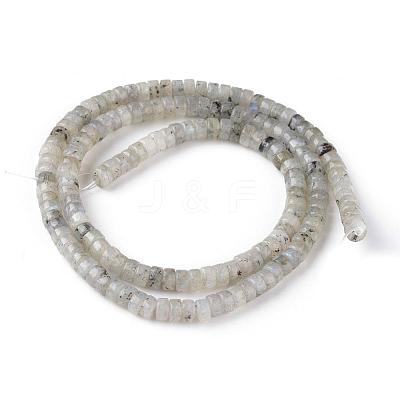 Natural Labradorite Beads Strands G-L528-08-1