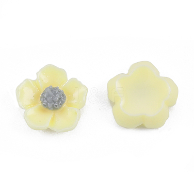 Opaque Resin Cabochons CRES-N030-013-1