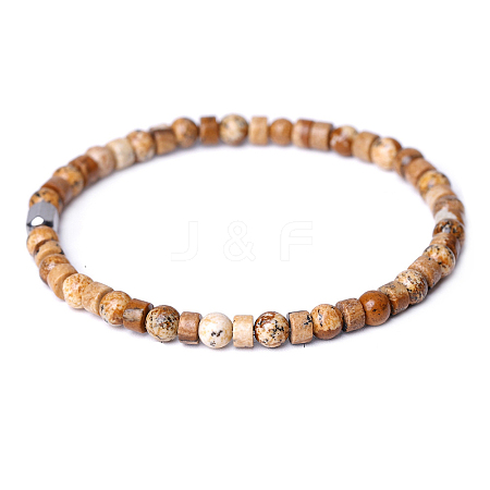 Natural Picture Jasper Beads Stretch Bracelets for Women Men PW-WG6A9BA-09-1